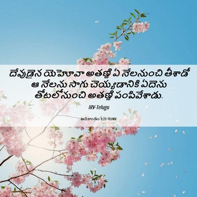 Picture 06 - ఆదికాండం 3:23 TELIRV - దేవుడైన యెహోవా - Bible Verse Picture