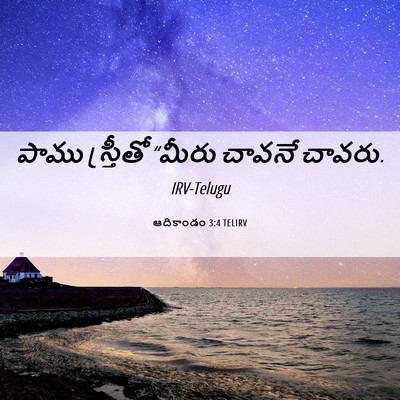 Picture 06 - ఆదికాండం 3:4 TELIRV - పాము స్త్రీతో - Bible Verse Picture