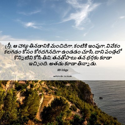 Picture 06 - ఆదికాండం 3:6 TELIRV - స్త్రీ, ఆ చెట్టు - Bible Verse Picture