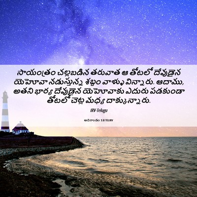 Picture 06 - ఆదికాండం 3:8 TELIRV - సాయంత్రం చల్లబడిన - Bible Verse Picture