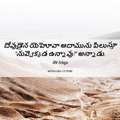 Picture 06 - ఆదికాండం 3:9 TELIRV - దేవుడైన యెహోవా - Bible Verse Picture
