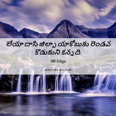 Picture 06 - ఆదికాండం 30:12 TELIRV - లేయా దాసి జిల్పా - Bible Verse Picture