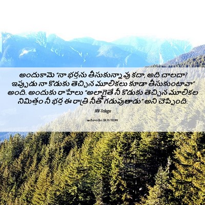 Picture 06 - ఆదికాండం 30:15 TELIRV - అందుకామె “నా - Bible Verse Picture