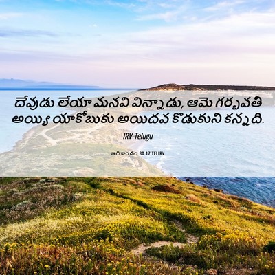 Picture 06 - ఆదికాండం 30:17 TELIRV - దేవుడు లేయా మనవి - Bible Verse Picture