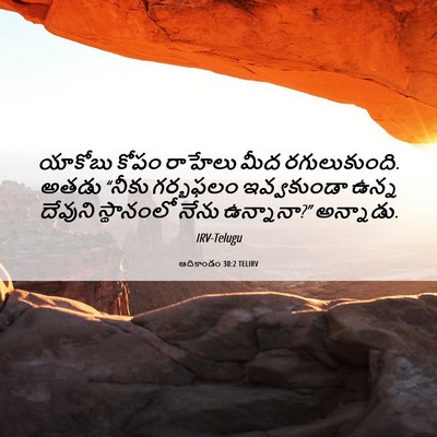 Picture 06 - ఆదికాండం 30:2 TELIRV - యాకోబు కోపం - Bible Verse Picture