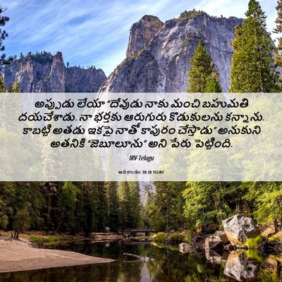 Picture 06 - ఆదికాండం 30:20 TELIRV - అప్పుడు లేయా - Bible Verse Picture