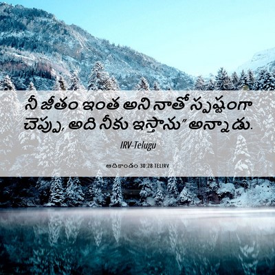 Picture 06 - ఆదికాండం 30:28 TELIRV - నీ జీతం ఇంత అని - Bible Verse Picture