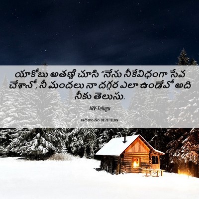 Picture 06 - ఆదికాండం 30:29 TELIRV - యాకోబు అతణ్ణి - Bible Verse Picture