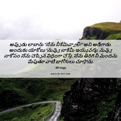 Picture 06 - ఆదికాండం 30:31 TELIRV - అప్పుడు లాబాను - Bible Verse Picture