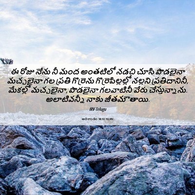 Picture 06 - ఆదికాండం 30:32 TELIRV - ఈ రోజు నేను నీ మంద - Bible Verse Picture