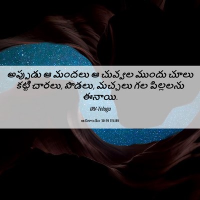 Picture 06 - ఆదికాండం 30:39 TELIRV - అప్పుడు ఆ మందలు ఆ - Bible Verse Picture