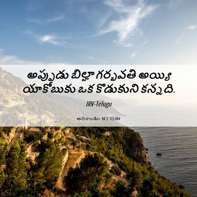 Picture 06 - ఆదికాండం 30:5 TELIRV - అప్పుడు బిల్హా - Bible Verse Picture