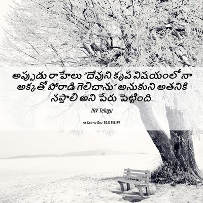 Picture 06 - ఆదికాండం 30:8 TELIRV - అప్పుడు రాహేలు - Bible Verse Picture