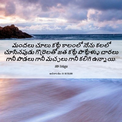 Picture 06 - ఆదికాండం 31:10 TELIRV - మందలు చూలు కట్టే - Bible Verse Picture