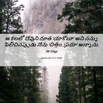Picture 06 - ఆదికాండం 31:11 TELIRV - ఆ కలలో దేవుని దూత - Bible Verse Picture