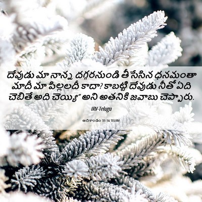 Picture 06 - ఆదికాండం 31:16 TELIRV - దేవుడు మా నాన్న - Bible Verse Picture