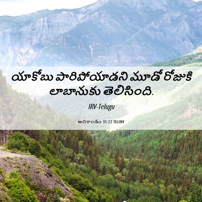 Picture 06 - ఆదికాండం 31:22 TELIRV - యాకోబు - Bible Verse Picture