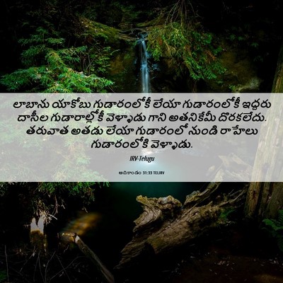 Picture 06 - ఆదికాండం 31:33 TELIRV - లాబాను యాకోబు - Bible Verse Picture