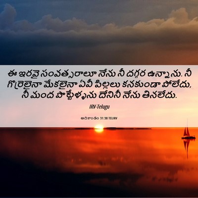 Picture 06 - ఆదికాండం 31:38 TELIRV - ఈ ఇరవై సంవత్సరాలూ - Bible Verse Picture