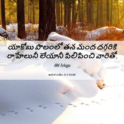 Picture 06 - ఆదికాండం 31:4 TELIRV - యాకోబు పొలంలో తన - Bible Verse Picture