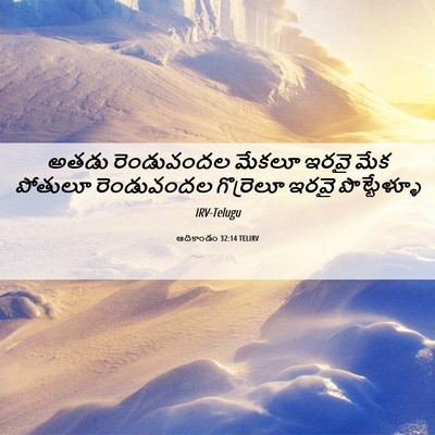 Picture 06 - ఆదికాండం 32:14 TELIRV - అతడు రెండువందల - Bible Verse Picture