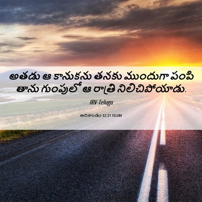 Picture 06 - ఆదికాండం 32:21 TELIRV - అతడు ఆ కానుకను - Bible Verse Picture