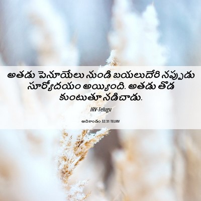 Picture 06 - ఆదికాండం 32:31 TELIRV - అతడు పెనూయేలు - Bible Verse Picture