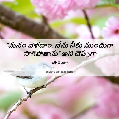 Picture 06 - ఆదికాండం 33:12 TELIRV - “మనం వెళదాం, నేను - Bible Verse Picture