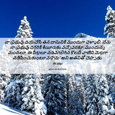 Picture 06 - ఆదికాండం 33:14 TELIRV - నా ప్రభువు దయచేసి - Bible Verse Picture