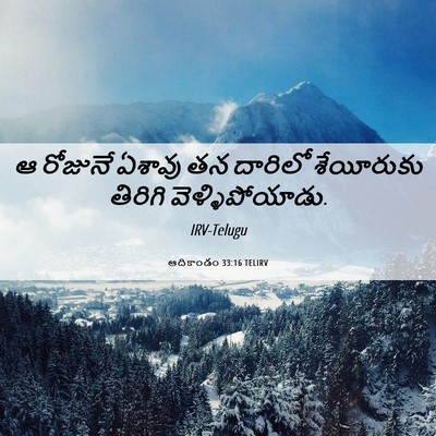 Picture 06 - ఆదికాండం 33:16 TELIRV - ఆ రోజునే ఏశావు తన - Bible Verse Picture
