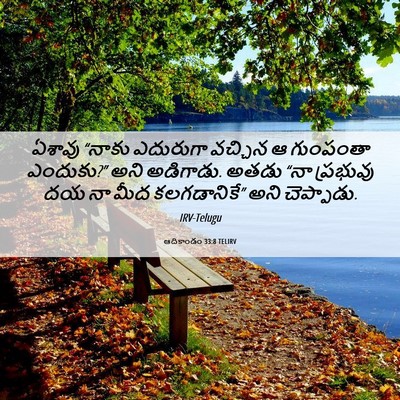 Picture 06 - ఆదికాండం 33:8 TELIRV - ఏశావు “నాకు - Bible Verse Picture