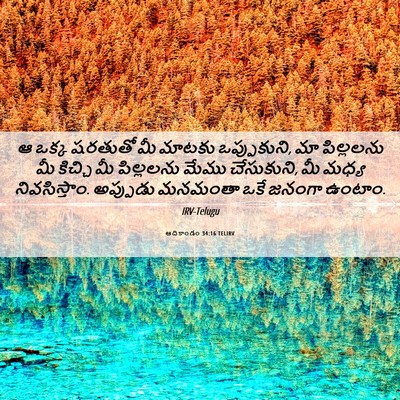 Picture 06 - ఆదికాండం 34:16 TELIRV - ఆ ఒక్క షరతుతో మీ - Bible Verse Picture