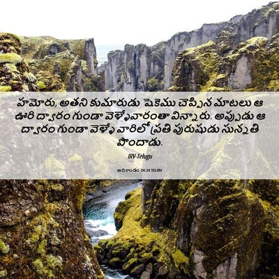 Picture 06 - ఆదికాండం 34:24 TELIRV - హమోరు, అతని - Bible Verse Picture
