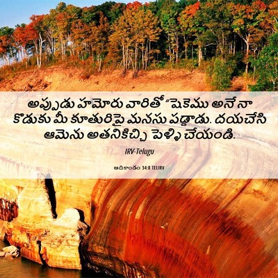 Picture 06 - ఆదికాండం 34:8 TELIRV - అప్పుడు హమోరు - Bible Verse Picture