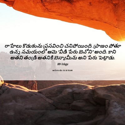 Picture 06 - ఆదికాండం 35:18 TELIRV - రాహేలు కొడుకును - Bible Verse Picture