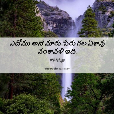 Picture 06 - ఆదికాండం 36:1 TELIRV - ఎదోము అనే మారు - Bible Verse Picture