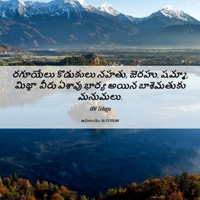 Picture 06 - ఆదికాండం 36:13 TELIRV - రగూయేలు కొడుకులు - Bible Verse Picture