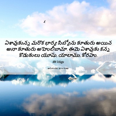 Picture 06 - ఆదికాండం 36:14 TELIRV - ఏశావుకున్న మరొక - Bible Verse Picture