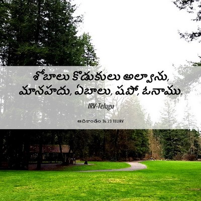 Picture 06 - ఆదికాండం 36:23 TELIRV - శోబాలు కొడుకులు - Bible Verse Picture