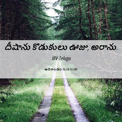 Picture 06 - ఆదికాండం 36:28 TELIRV - దీషాను కొడుకులు - Bible Verse Picture