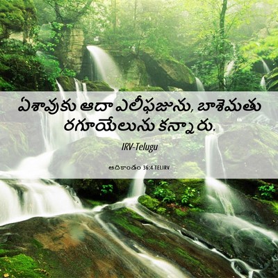 Picture 06 - ఆదికాండం 36:4 TELIRV - ఏశావుకు ఆదా - Bible Verse Picture