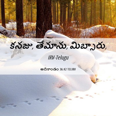 Picture 06 - ఆదికాండం 36:42 TELIRV - కనజు, తేమాను, - Bible Verse Picture