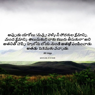 Picture 06 - ఆదికాండం 37:14 TELIRV - అప్పుడు యాకోబు - Bible Verse Picture