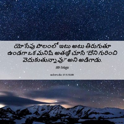 Picture 06 - ఆదికాండం 37:15 TELIRV - యోసేపు పొలంలో ఇటు - Bible Verse Picture