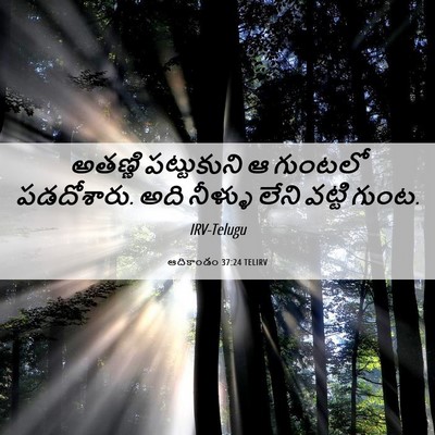 Picture 06 - ఆదికాండం 37:24 TELIRV - అతణ్ణి పట్టుకుని - Bible Verse Picture