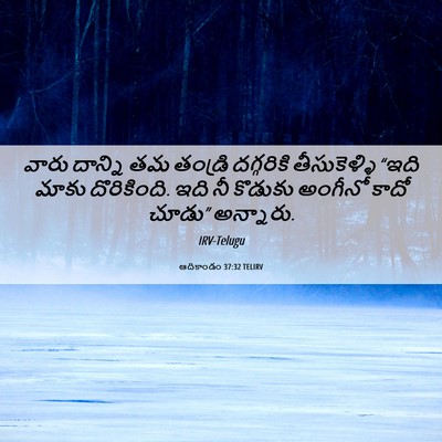 Picture 06 - ఆదికాండం 37:32 TELIRV - వారు దాన్ని తమ - Bible Verse Picture