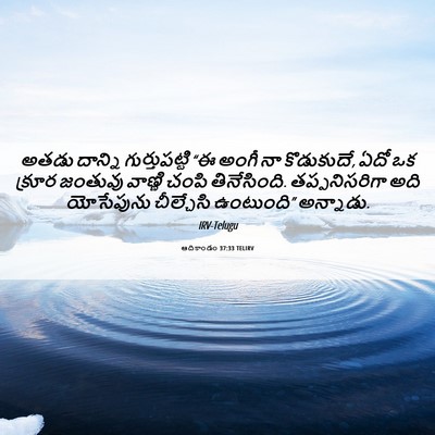 Picture 06 - ఆదికాండం 37:33 TELIRV - అతడు దాన్ని - Bible Verse Picture