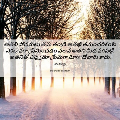 Picture 06 - ఆదికాండం 37:4 TELIRV - అతని సోదరులు తమ - Bible Verse Picture