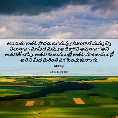 Picture 06 - ఆదికాండం 37:8 TELIRV - అందుకు అతని - Bible Verse Picture
