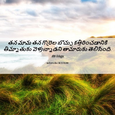 Picture 06 - ఆదికాండం 38:13 TELIRV - తన మామ తన గొర్రెల - Bible Verse Picture